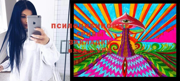 стаф Вяземский