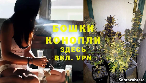 стаф Вяземский