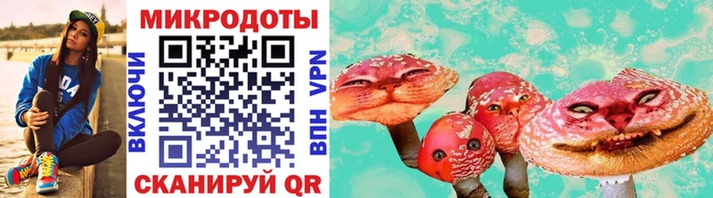 где купить наркоту  Химки  Псилоцибиновые грибы ЛСД 