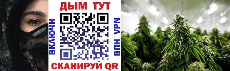 Каннабис THC 21%  ссылка на мегу ТОР  Химки  что такое наркотик 